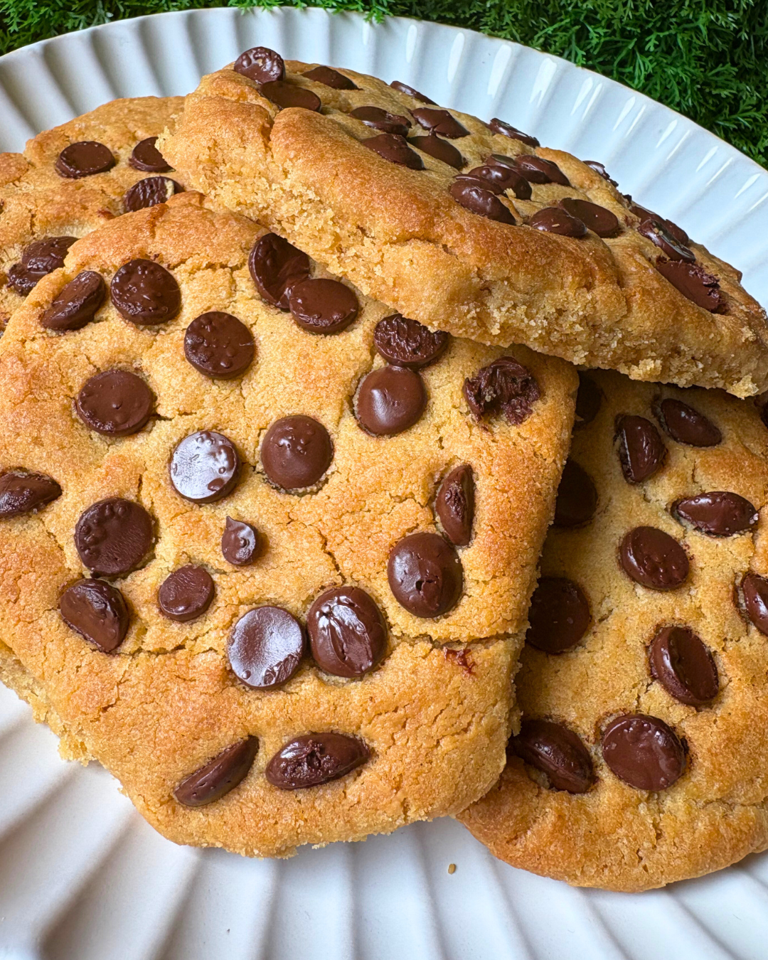 Sable Peanut Butter & Chocolate Chip Cookies (6 pack)